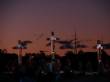 Stations of the Cross