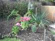 Church garden